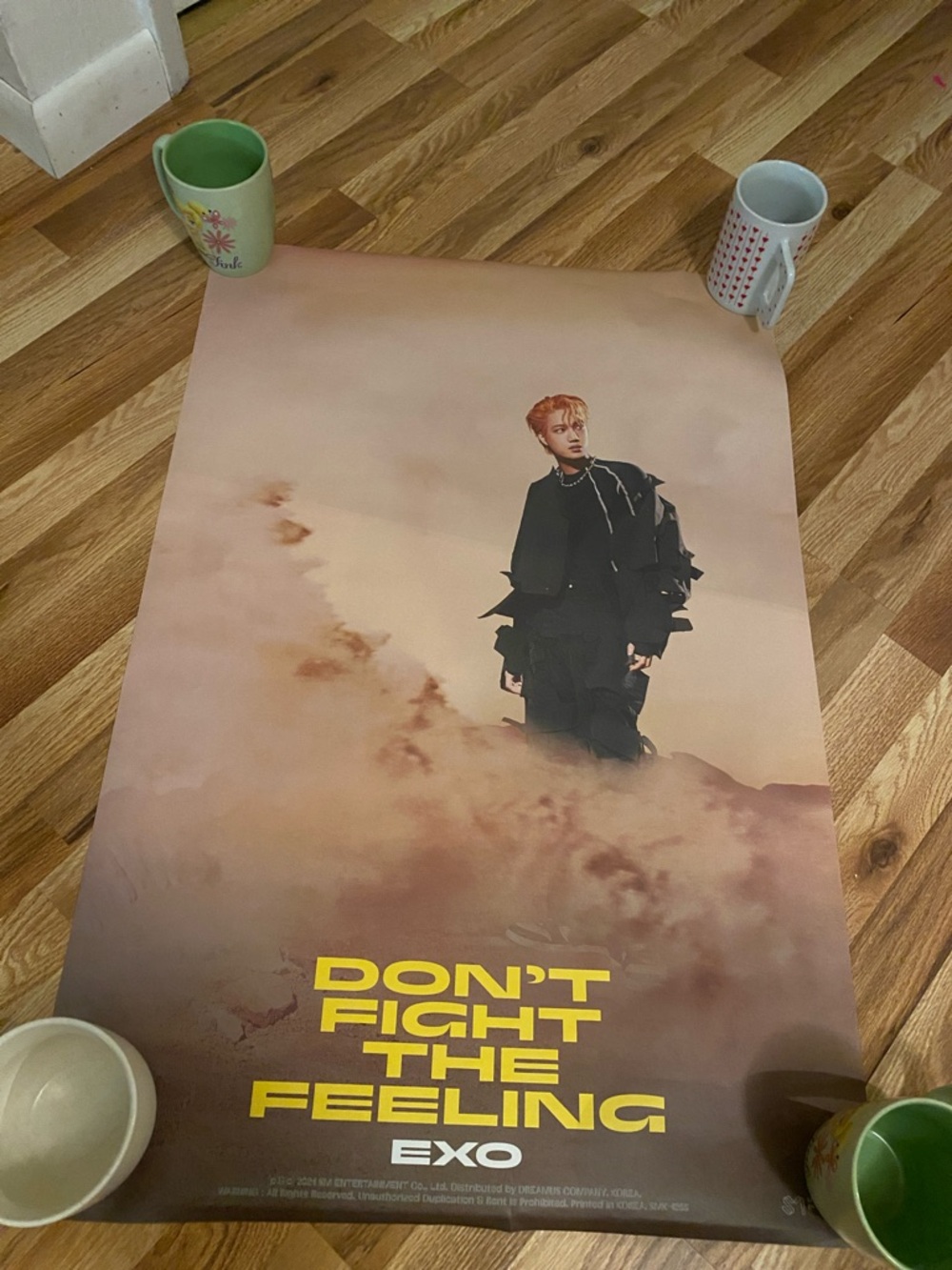 Kai EXO 'Don't Fight The Feeling' Poster